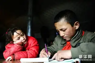 尘埃散尽后的废墟在生命之上绽放的希望
