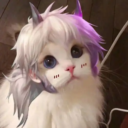 王者荣耀街头猫咪
