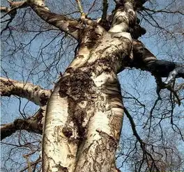 最新幽默笑话大全,搞笑段子大全,搞笑动态图片大全第29414页别逗了笑话网
