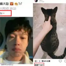 杨幂魏大勋被曝同赴三亚度假,魏大勋工作室晒行程辟谣
