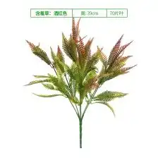 金蚕花人工培植
