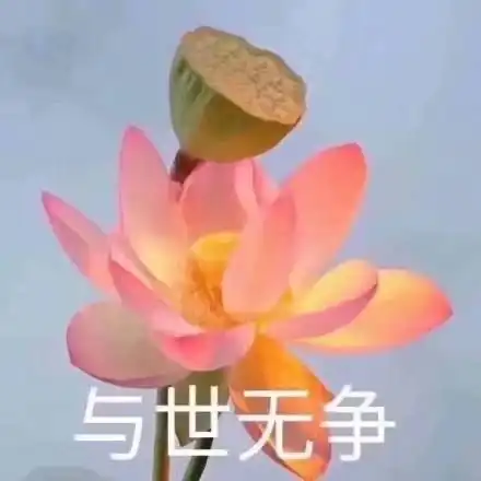 产出
