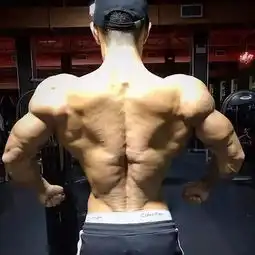 欧美人眼中的肌肉男vs中国人眼中的肌肉男,过于真实了
