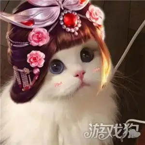 王者荣耀猫咪头像原图男女英雄猫咪头像无水印
