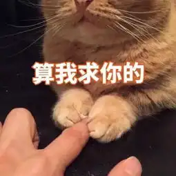 直男迷之审美,我的内心毫无波动
