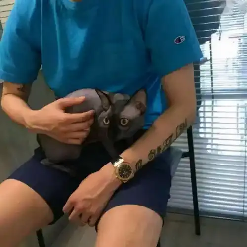 你人生中的第一个纹身,还算完美吗
