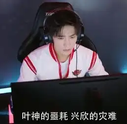 兴欣战队失败后队员互相指责作鸟兽散,叶修为什么不制止
