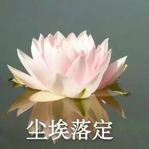 我们一起换下头像,谢谢
