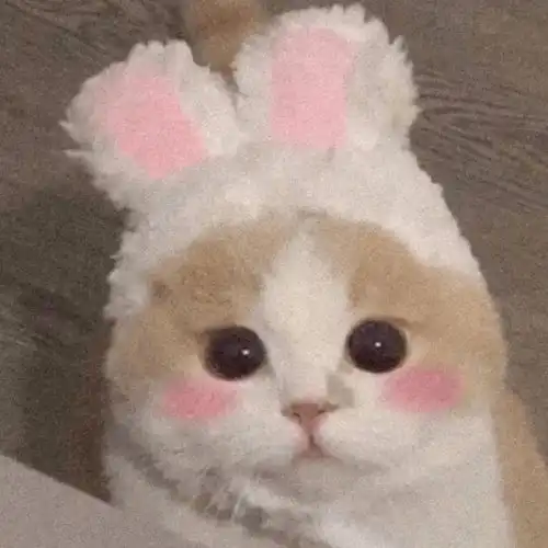 不吃糖,就不会变老
