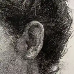 如何处理好素描头像中黑白灰的关系
