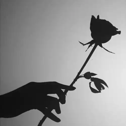 网易云热评哪些击中了你的内心
