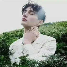 头像网名个签
