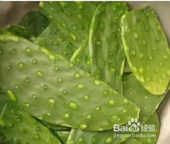 夏季减肥几个最有效的食疗方法
