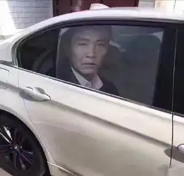 真人车贴导致事故或担责新浪图片

