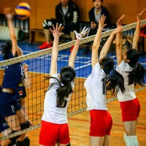 女排张锦文因花洒断送前程被国家队开除,郎平我在女排永不要她
