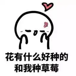 那些年单身过的殿堂级男神都去哪里结婚了

