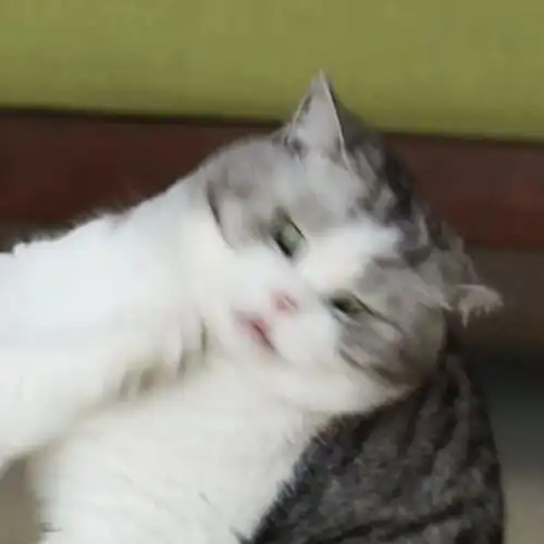 9.11情侣头像无论如何请全力以赴
