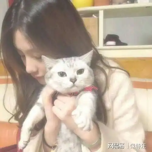 为什么抱着猫感觉在抖,可能是这五个原因
