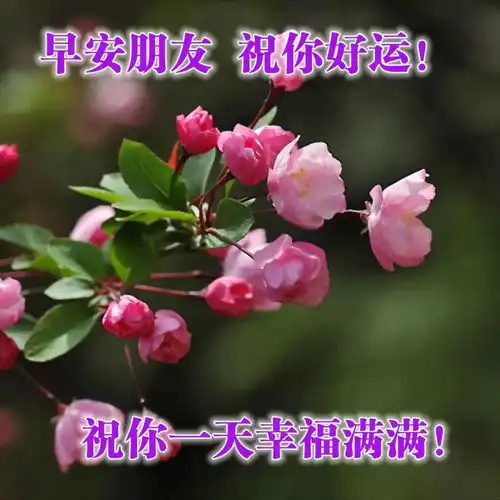 直击人心的正能量经典语录摘抄,精辟有哲理,刷爆朋友圈
