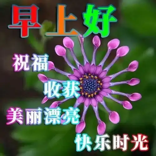 早上好问候语图片早上表情包全集
