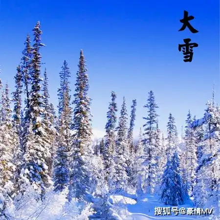 2021大雪二十四节气唯美图片大雪节气发朋友圈的素材
