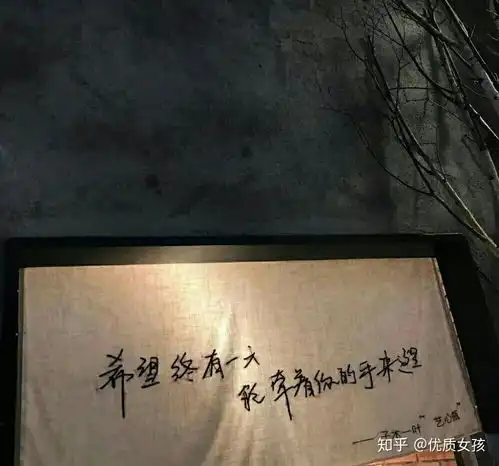 高级文艺的情话

