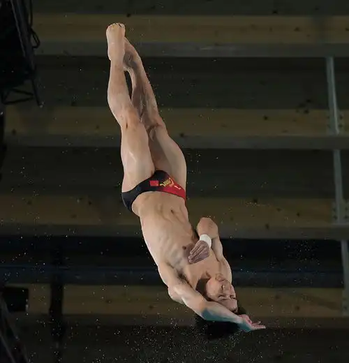 曹缘杨昊晋级跳水男子10米台半决赛
