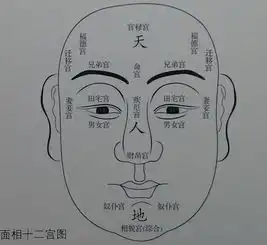 面相这种面相的人最有福
