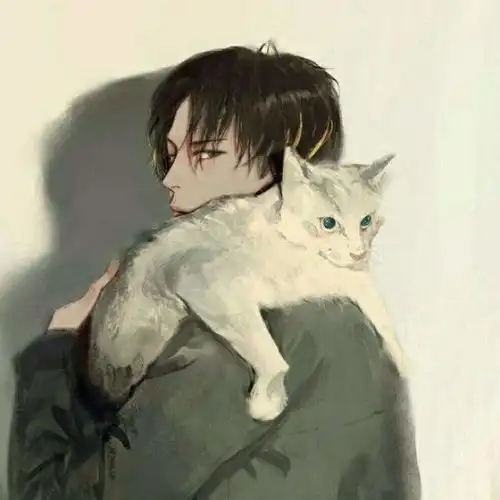区块链猫猫8.6主流保持高位震荡,u的下跌为币价提供支撑性行情

