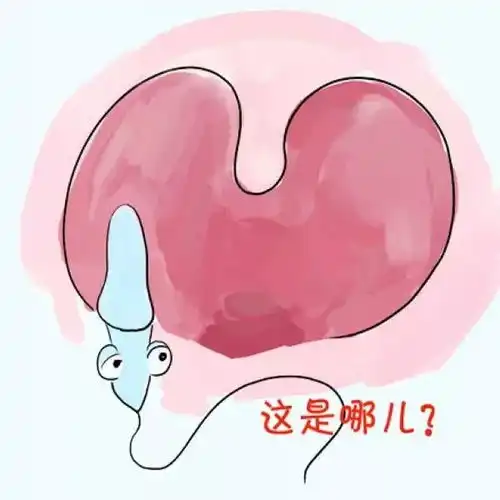 年少不知精子贵,老来掉眼泪
