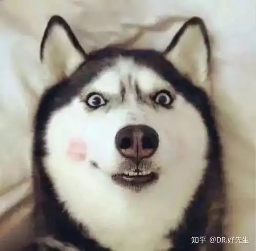 自从换了这个头像,我撩妹就开了挂
