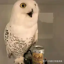 有哪些够你笑一辈子的沙雕图片
