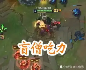 谁能三级单打小龙男枪够呛,盲僧危险,这个辅助却能无伤收龙
