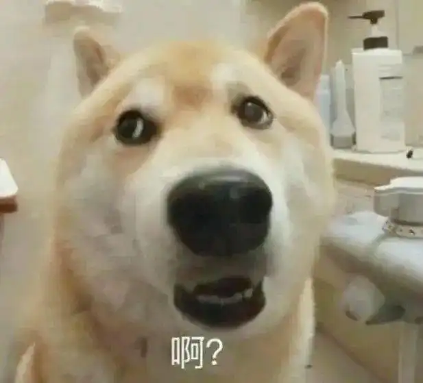 头像图片丨情侣头像,男生,女生头像
