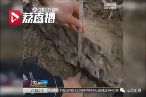 这也偷男子连夜盗走800米公路,随后卖给了...
