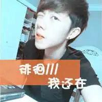 微信头像真的海底世界大全微信头像图片大全
