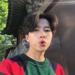 波比

