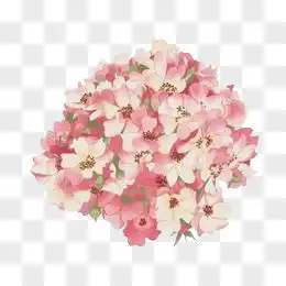 手绘捧花图片素材免费手绘捧花png设计图片大全图精灵
