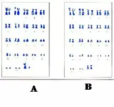 向阳中学生物兴趣小组的同学收集到了部分生物图片.请你按下列分类方法将这些生物分类.然后回答有关问题.写出af中c.f所代表的生物名称.c,f.在这些生物中
