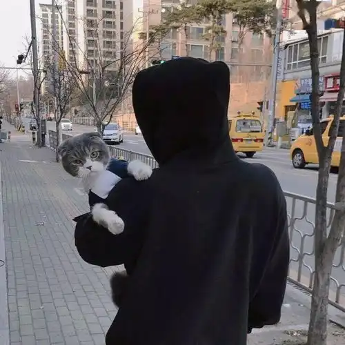 头像相遇不一定有结局但一定有意义

