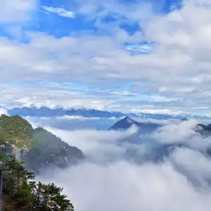 男子称在免票景区步行上山被强制买车票,大明山景区正了解
