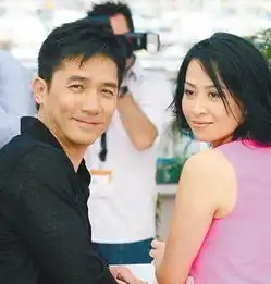 揭秘刘嘉玲艰辛求子路为当妈赴美接受试管婴儿

