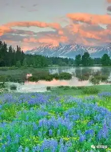 听浅夏嫣然,淡而生香
