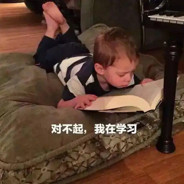 一看就是在好好学习的头像
