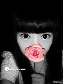 一个人去吻花的头像
