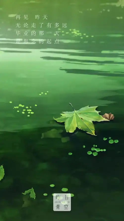 昨日青空海报文案,看哭了
