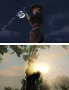 明日之后花瓣树在哪花瓣树位置介绍
