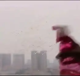 过期啤酒,生活妙招
