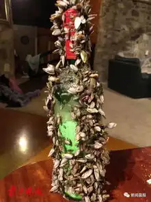 为未婚妻抛漂流瓶的海员找到了可惜不是你,陪我到最后
