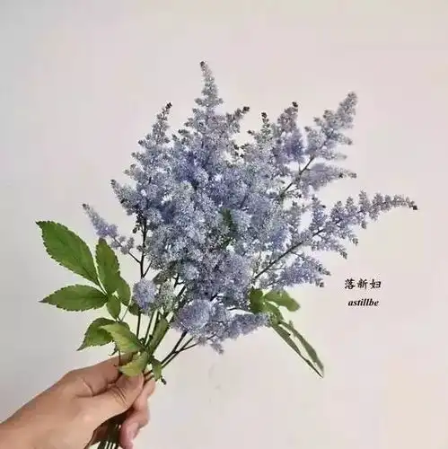 你不得不认识的96种花材含中英文名全在这里了
